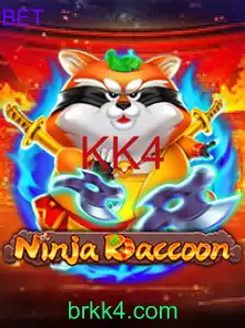 NinjaRaccoon